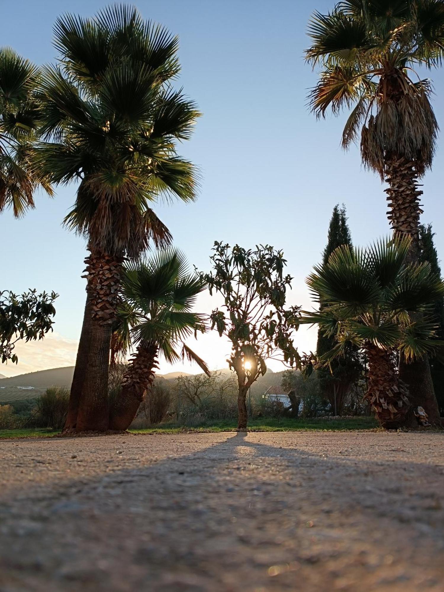 Bed and Breakfast Cortijo Petra Villanueva del Rosario Exterior foto