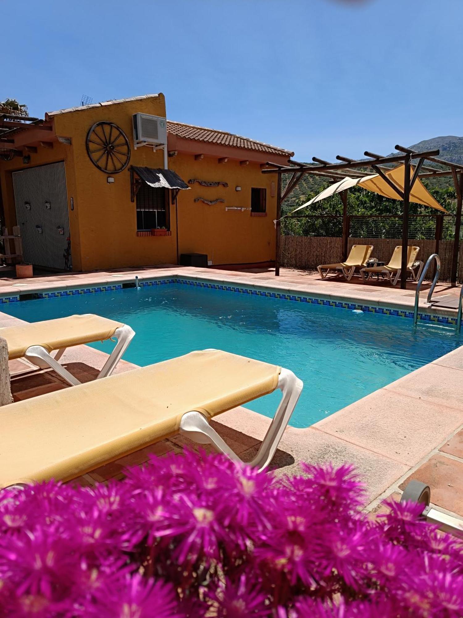 Bed and Breakfast Cortijo Petra Villanueva del Rosario Exterior foto